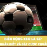 Biến động kèo là gì? Cách nhận biết và đặt cược chuẩn xác từ cao thủ
