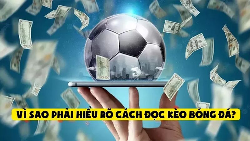 Cách Đọc Kèo Bóng Đá Dành Cho Người Mới