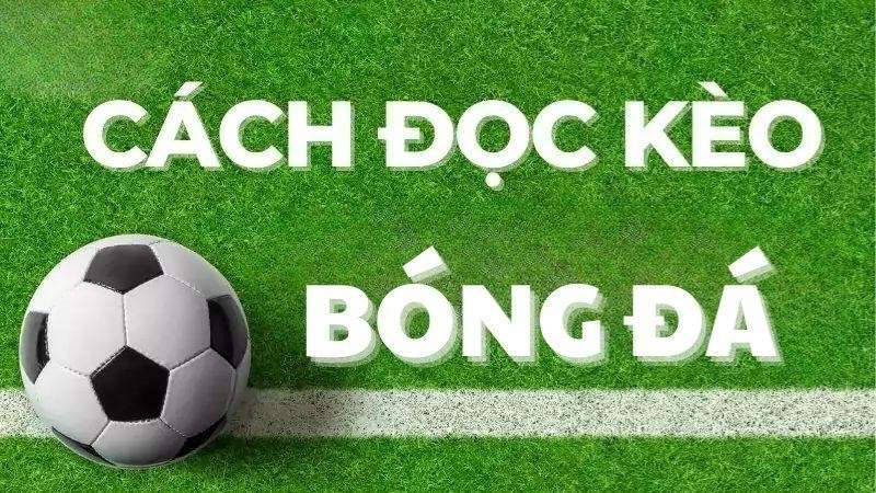 Cách Đọc Kèo Bóng Đá Dành Cho Người Mới
