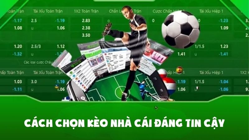 Thông Tin Cần Biết Về Kèo Nhà Cái