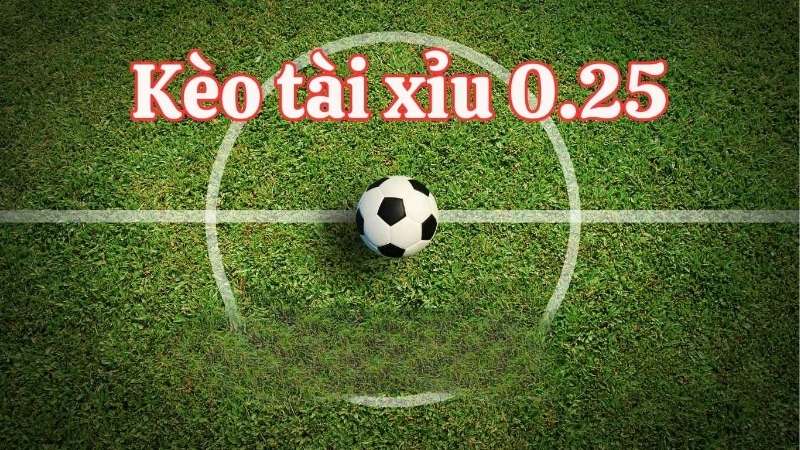 Kèo Tài Xỉu Là Gì? Cách Tính Toán Và Đọc Kèo Hiệu Quả Cho Người Mới