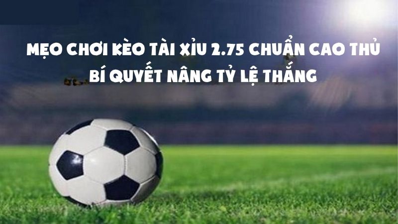Mẹo chơi kèo tài xỉu 2.75 chuẩn cao thủ – Bí quyết nâng tỷ lệ thắng