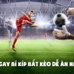 Bỏ túi ngay bí kíp bắt kèo dễ ăn nhất 2025
